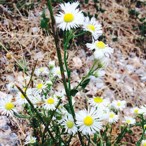 Meet your Posher, Rylee